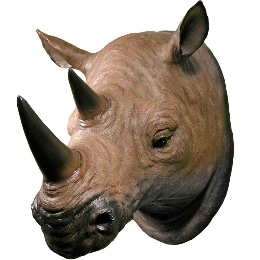   taxidermy WALL MOUNTED AFRICAN RHINO HEAD rhinoceros mount plaque new