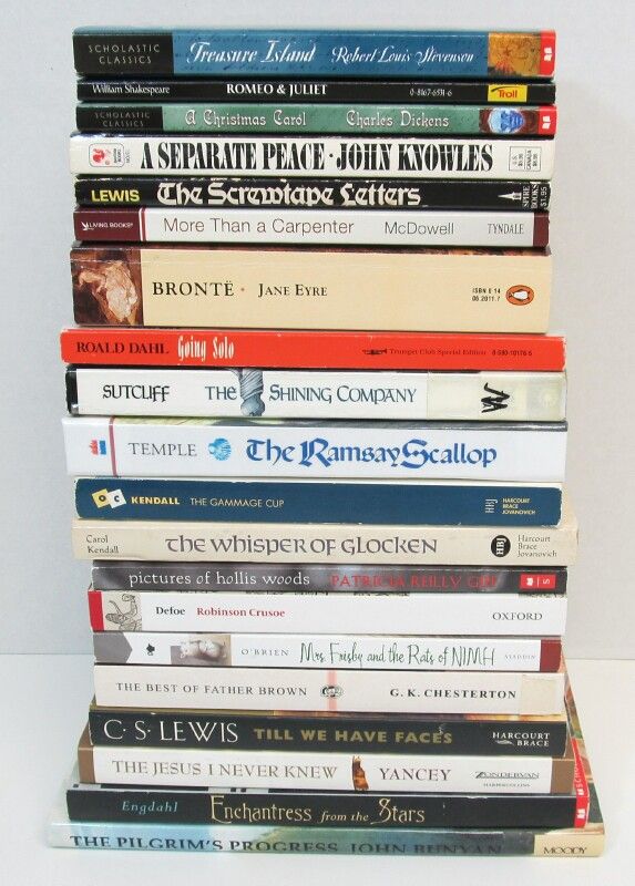 Lot 19 SONLIGHT 200 Homeschool Books History Literature C S LEWIS 