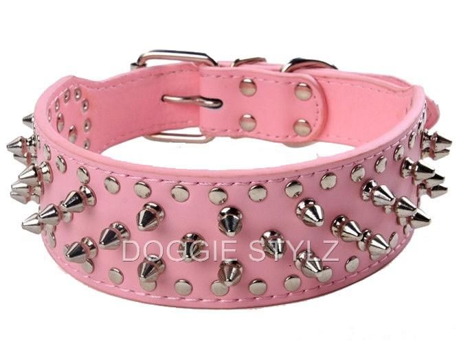   Collar Spikes & Studs Bully Boxer Doberman Mastiff Weimaraner  