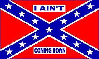 Rebel I Aint Coming Down Confederate USA 3x5 Flag NEW  