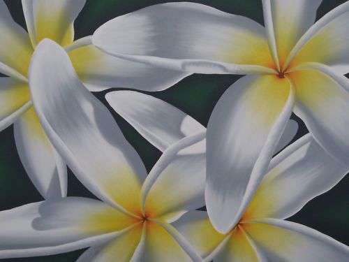 Abstract Frangipani Painting Framed 80cm x 60cm  