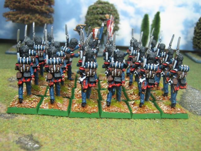 28mm napoleonic dps painted fr ig foot chasseurs