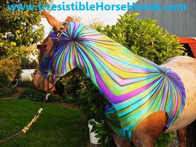 MEDIUM SPINNER HORSE HOOD SLINKY, SLEAZY, HOODIE * M  