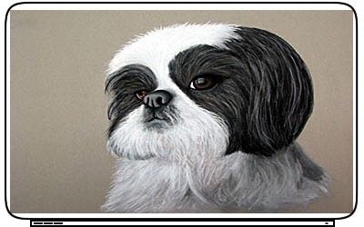 Shih Tzu Dogs Laptop Netbook Skin Decal Cover Sticker  