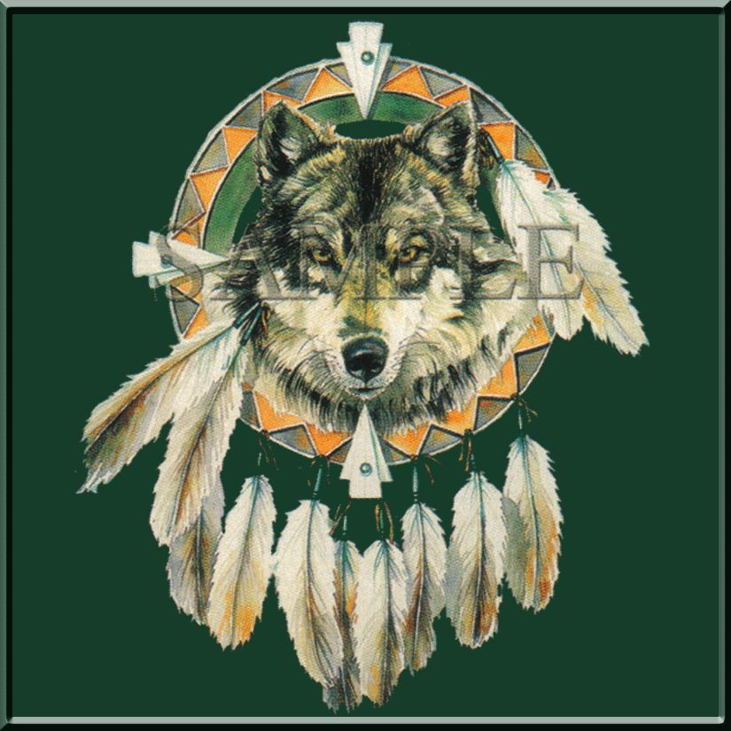   The Wolf Dreamcatcher Native American Indian T Shirt S XL,2X,3X,4X,5X