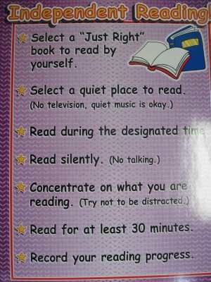 INDEPENDENT READING CHART   Teachers Friend TF2371  