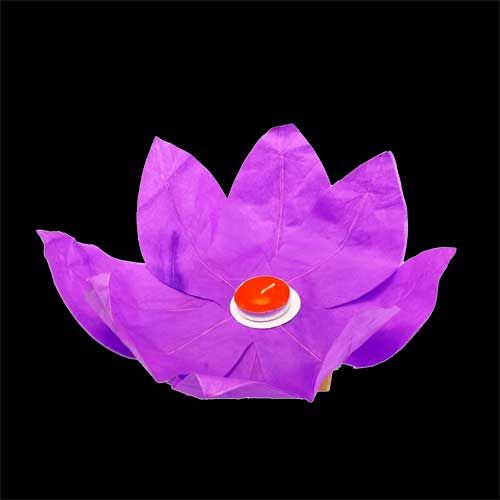 10×8 COLOR FLOWER lotus chinese lanterns wishing floating water light 