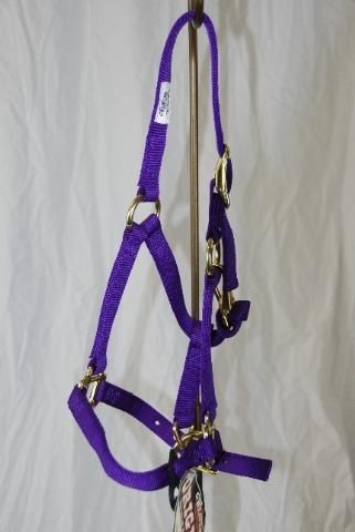 NWT Weaver Leather 3/4 Nylon Snap Halter Purple Pony  