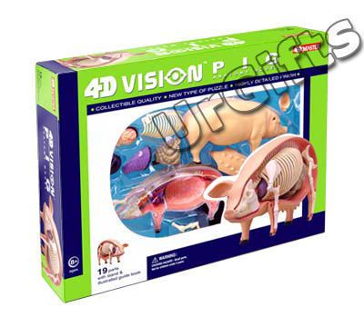 4D Vision Puzzle Animal Anatomy Series 3D Model NEW Pig  