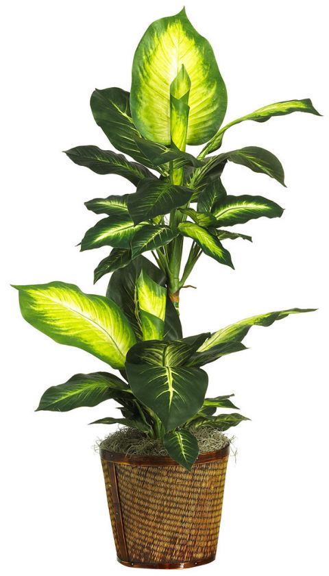 SILK Dieffenbachia Artificial HOUSE PLANT Realistic 42  