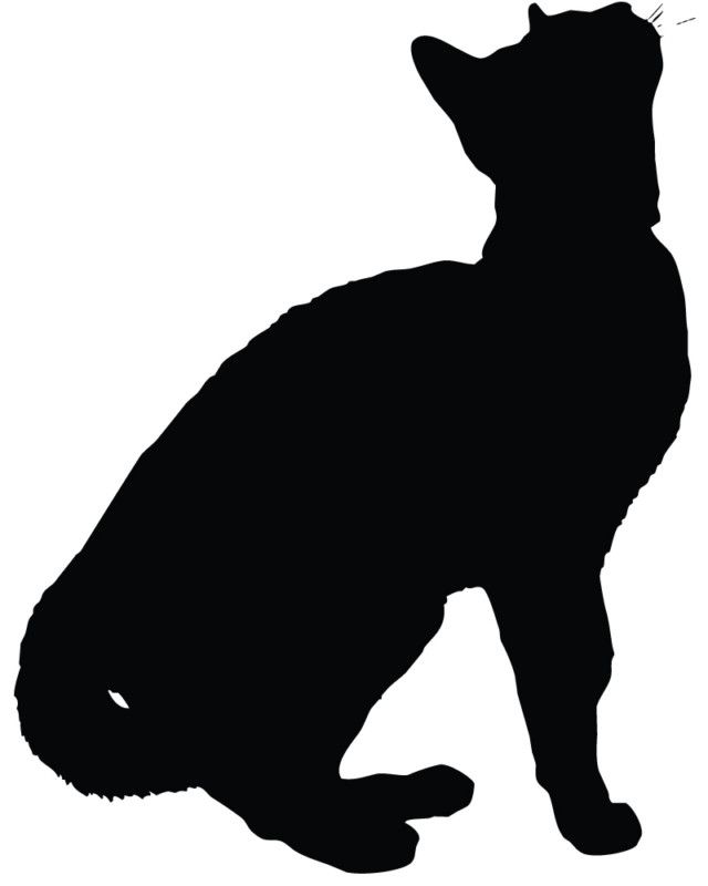 Cat Silhouette Kitten Car Decal Window Sticker  