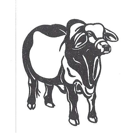 Brahma cow Decals  