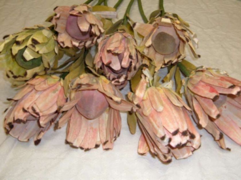 Box Lot 8 Exotic Tropical Protea Paper Flowers 9926  